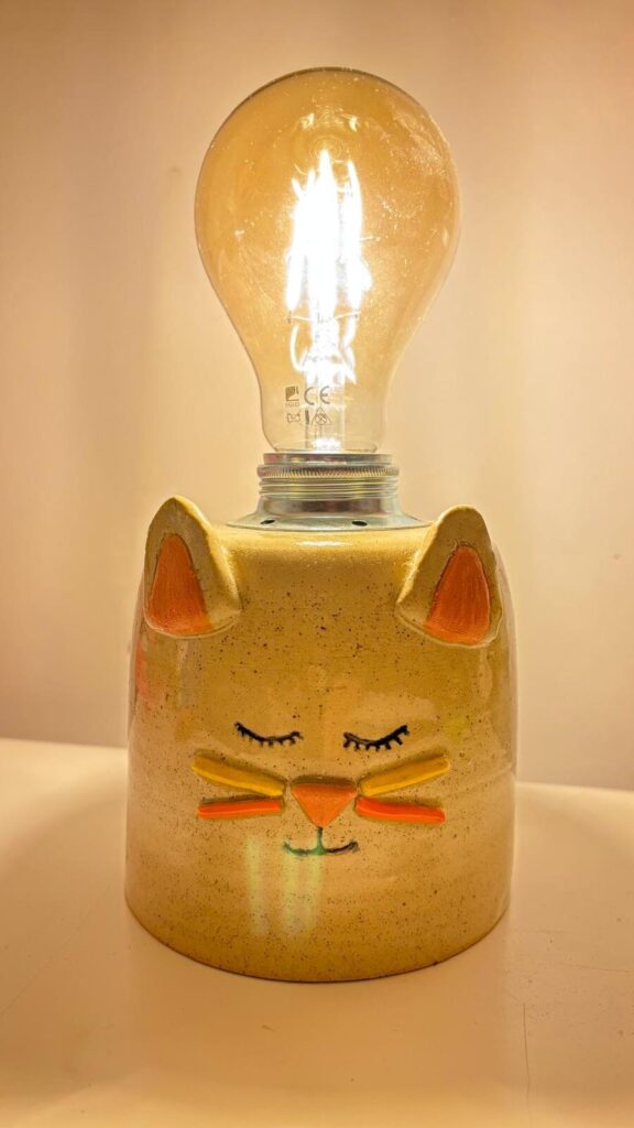 Dolgedraaid Lamp Poes (1)