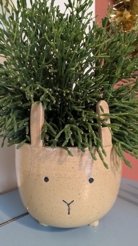 Bloempot Dolgedraaid Komjijn